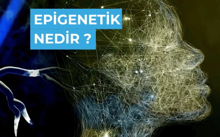 Epigenetik Nedir ?