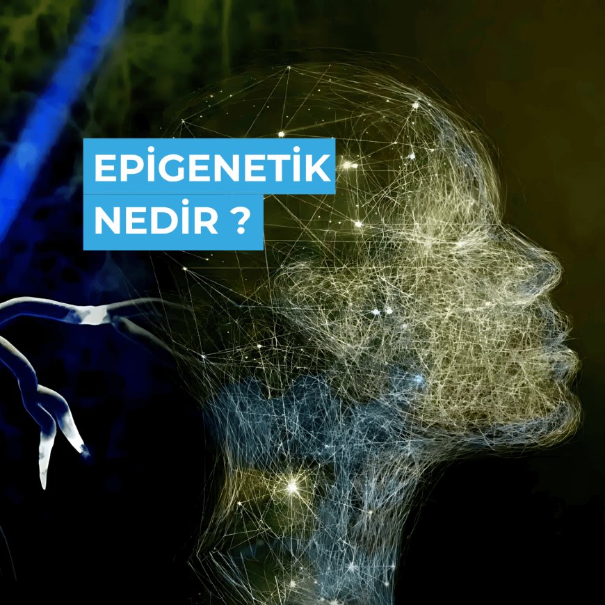 Epigenetik Nedir ?