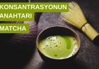 KONSANTRASYONUN ANAHTARI BU ÜNLÜ İÇECEKTE - MATCHA ÇAYI HAKKINDA BİLİNMESİ GEREKENLER