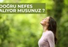DOĞRU NEFES ALIYOR MUSUNUZ ? DİYAFRAM VE GÖĞÜS NEFESİ - WIM HOF/BUTEYKO NEFES TEKNİKLERİNİN BİLİMİ