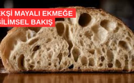 EKŞİ MAYALI EKMEK BİR MUCİZE OLABİLİR Mİ? -  İÇERDİĞİ BAKTERİLER NE İŞE YARIYOR ?