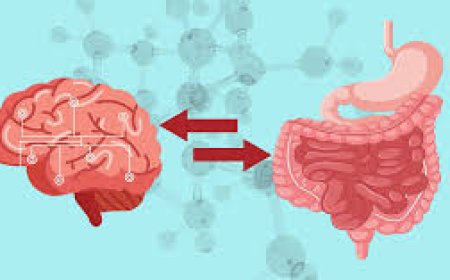 İKİNCİ BEYNİMİZ BAĞIRSAK! - BEYİN ARASINDAKİ İLİŞKİ VE NASIL SAĞLIKLI TUTABİLİRİZ ?