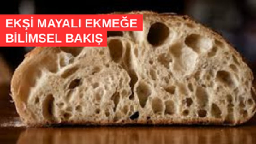 EKŞİ MAYALI EKMEK BİR MUCİZE OLABİLİR Mİ? -  İÇERDİĞİ BAKTERİLER NE İŞE YARIYOR ?