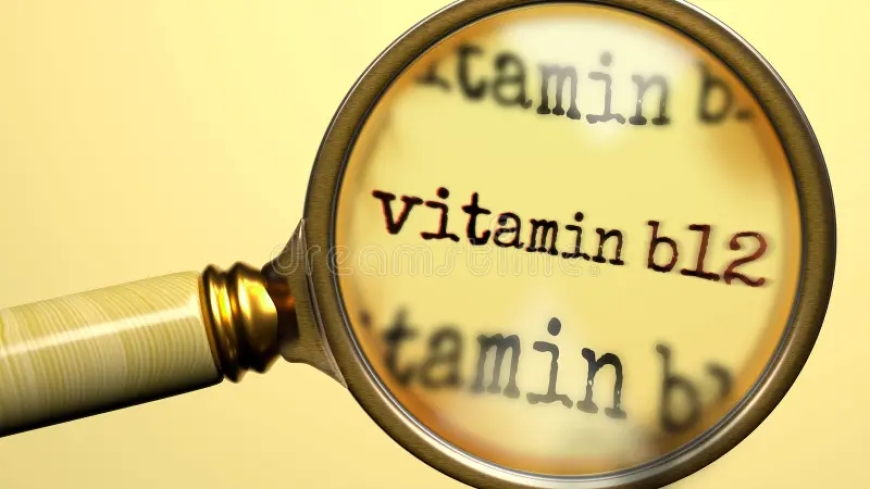 B12 Vitamini Eksikliği: Beyin, Sinir Sistemi ve Ruh Hali Üzerindeki Etkileri