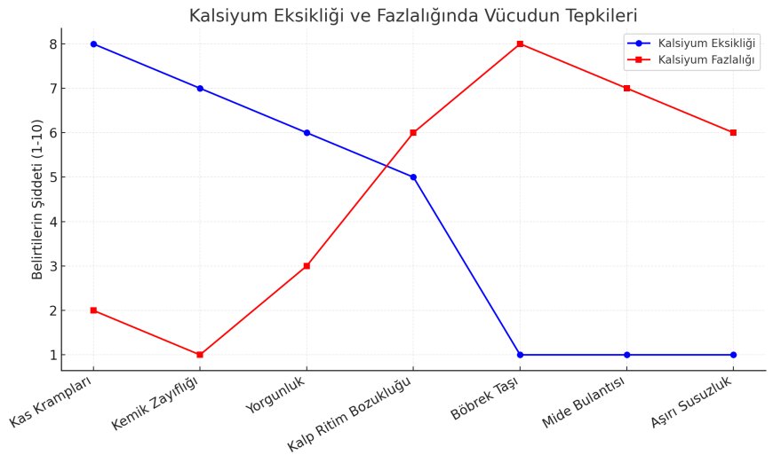 Kalsiyum Eksikliği ile Fazlalığı Arasındaki İnce Çizgi
