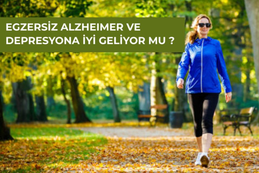Egzersiz Beyni Gençleştiriyor mu? – Alzheimer, Depresyon ve Sinaps Üzerine Etkileri